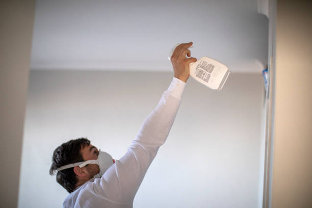 Best Attic Mold Removal  in Greendale, IN