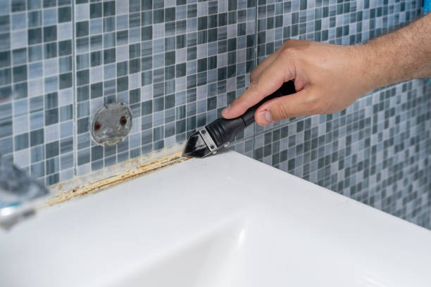 Certified Mold Removal in Greendale, IN